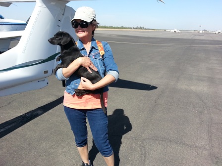 Susan trying to calm a frighten rescued mix lab before his flight to his new home.